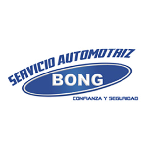 REPUESTOS BONG